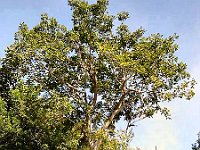 Foto 017